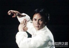 佛山四小龍是誰,霍元甲曾被評為滄州十大武術名人