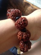 六瓣金剛菩提子寓意