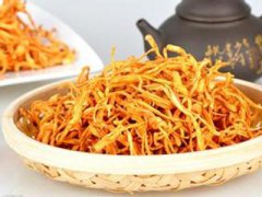 新鮮蟲草花禁忌