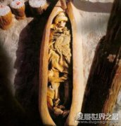 樓蘭美女容貌復原圖，千年女尸臉上露出神秘會心的微笑