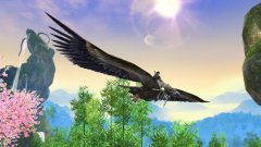 大鵬一日同風起寓意