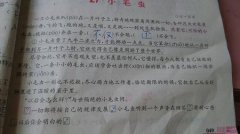 小毛蟲告訴我們什么道理
