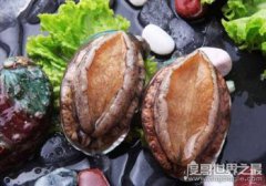 世界上最珍貴最稀有的鮑魚，清酒凍半頭鮑價格28萬一只