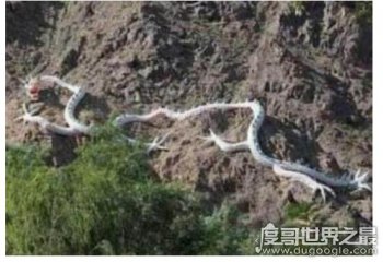 山東真實(shí)的蛇化龍的事,巨蛇渡劫成功直接化龍飛走