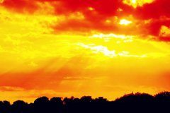 夢見晚霞有什么預示