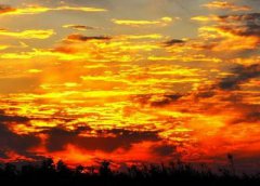 夢見火燒云代表什么