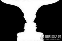 格式塔崩潰實驗是真的嗎,對著鏡子問“我是誰”使人崩潰
