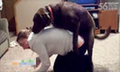 男不養(yǎng)貓女不養(yǎng)狗的來(lái)歷