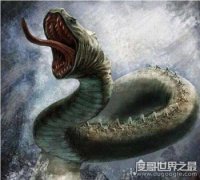 太平洋底驚現百米巨蟒長啥樣，一個蛇頭榨出了10桶油