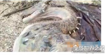 2016暴雨后出現龍吃人,村民難以置信被嚇傻了