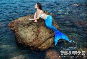美人魚是什么動物,哺乳動物還是兩棲動物