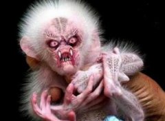 水猴子就是水鬼真的會(huì)吃人,水性嫻熟游泳速度快