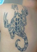 紋蝎子的忌諱和講究