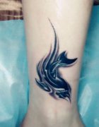 紋身海豚有什么寓意