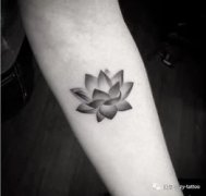 紋身蓮花的寓意是什么