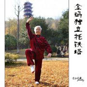 練金雞獨立的禁忌