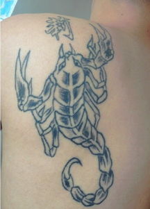 紋蝎子的忌諱和講究