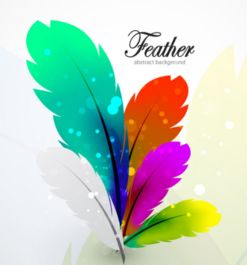 羽毛象征著什么寓意