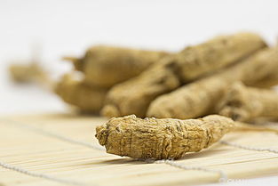 西洋參的禁忌人群