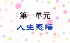 頂碗少年告訴我們什么道理