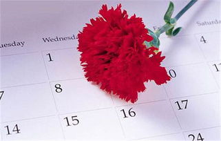 20年結婚紀念日是什么婚，是瓷婚因為瓷器很珍貴