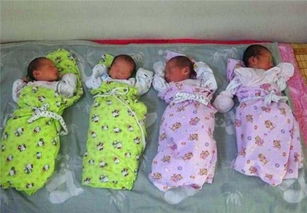 4兩二的命有幾個子女，大概會有三個子女