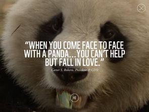 wwf是什么組織，是世界自然基金會