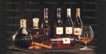 xo是什么酒,頂級的最上乘的白蘭地