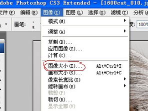 一寸照片的尺寸是多少像素，2.7×3.6cm，300× 450像素