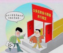 一級巡視員是什么級別，相當于廳局級正職