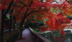 三國建業是現在哪里，南京市古稱金陵、建康