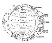三圈環流的形成過程,東北信風與東南信風輻合上升形成