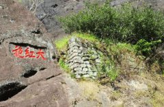 中國最貴的茶葉排名，武夷大山母樹大紅袍，金瓜貢茶