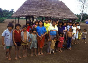 中國一夫多妻制唯一合法的地方，曼邦三隊的寨子里