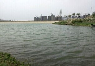 烏魯木齊哪里可以釣魚,烏拉泊水庫、 東大粱水庫