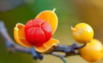 人經(jīng)歷什么會(huì)看破紅塵，經(jīng)歷過大起大落的人會(huì)變得更加的沉穩(wěn)