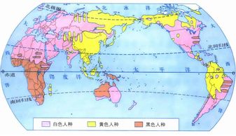 什么人種最多,最多的是白色人種