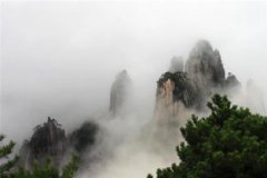 云霧山風景區在哪里個,云霧山風景區在武漢