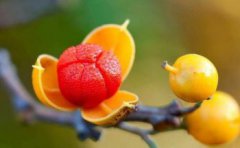 人經歷什么會看破紅塵，經歷過大起大落的人會變得更加的沉穩