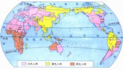 什么人種最多，最多的是白色人種