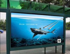 保護(hù)海洋生物的宣傳語，保持海洋潔凈，保持地球平衡