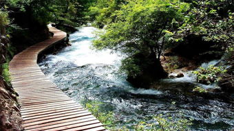 南充有什么好玩的景點(diǎn),有九寨峨眉山、漢祠、凌云山