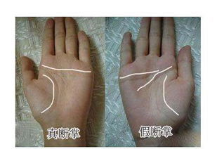 雙斷掌的女人命運,意味著生來就有賺大錢的能力