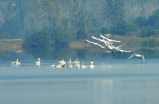 合肥哪里可以釣魚,董鋪水庫、翡翠湖