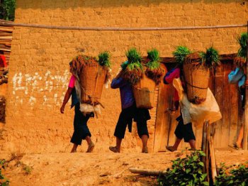 哈尼族的傳統節日風俗，有“年首扎勒特”、“苦扎扎”、“開秧門”等