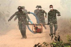 歷史上最大的森林大火，印度尼西亞的森林大火