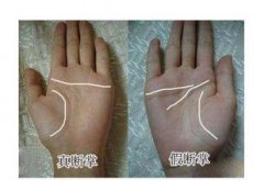 雙斷掌的女人命運(yùn)，意味著生來就有賺大錢的能力