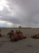 古代西域是現在哪里，狹義玉門關、陽關以蔥嶺即今帕米爾以東