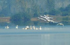 合肥哪里可以釣魚,董鋪水庫(kù)、翡翠湖