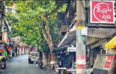 周冬雨原名叫什么,原名叫做孟浩網(wǎng)名叫做冬瓜哥哥